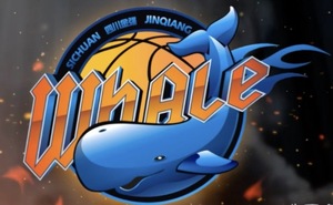 四川金强篮球队